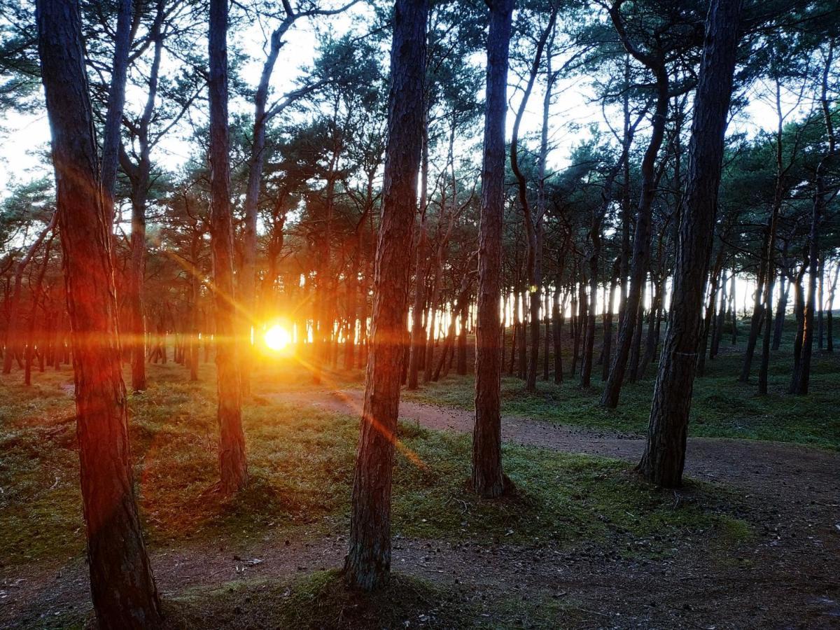 Pokoje Goscinne Weronika Ostrowo  Buitenkant foto