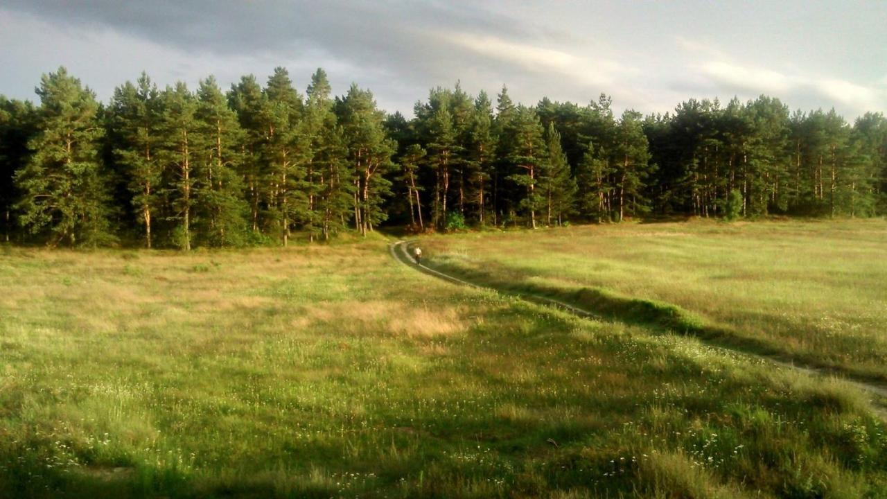 Pokoje Goscinne Weronika Ostrowo  Buitenkant foto